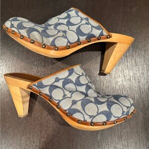 Stylish Blue Patterned Clogs